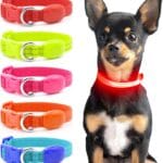 Light Up Dog Collar - Reflective LED Puppy Collar Rechargeable Glow in The Dark Cat Collar High Visibility Safety Dog Lights for Night Walking (XS, Red)