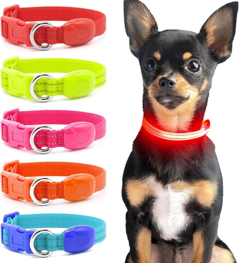 Light Up Dog Collar - Reflective LED Puppy Collar Rechargeable Glow in The Dark Cat Collar High Visibility Safety Dog Lights for Night Walking (XS, Red)