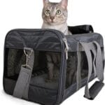 Sherpa Pet Carrier Airline Approved with Spring Wire Frame - Cat & Dog Carrier for In-Cabin Travel, Mesh Ventilation, Locking Zippers - Charcoal Grey, Large