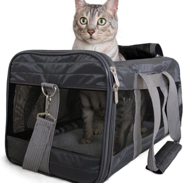 Sherpa Pet Carrier Airline Approved with Spring Wire Frame - Cat & Dog Carrier for In-Cabin Travel, Mesh Ventilation, Locking Zippers - Charcoal Grey, Large