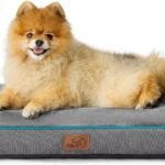 Bedsure Washable Dog Bed for Small Dogs - 2.5 Inch Thicken Up to 30lbs Pet Mat Pillows with Removable Washable Cover, Grey