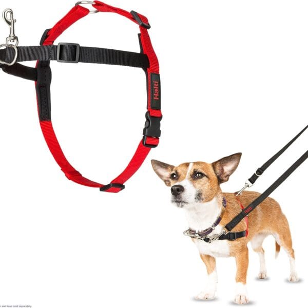 HALTI Front Control Harness - To Stop Your Dog Pulling on the Leash. Adjustable, Lightweight and Easy to Use. Anti-Pull Dog Training Harness for Small Dogs (Size S)