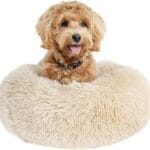 Small Dog Bed Calming Dogs Bed for Small Medium Large Dogs Anti-Anxiety Puppy Bed Machine Washable Warming Cozy Soft Pet Round Bed Fits up to 10-100 lbs (Small (Pack of 1), Beige)