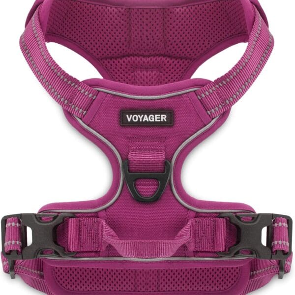 Voyager No Pull Dog Harness for Medium and Large Dogs, Dual Leash Attachments, Adjustable Soft but Strong Pet Harness with 3M Reflective Technology, Fuchsia Nylon, XS (Chest: 13 - 16")