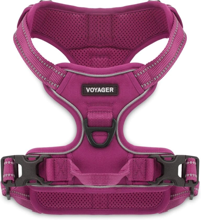 Voyager No Pull Dog Harness for Medium and Large Dogs, Dual Leash Attachments, Adjustable Soft but Strong Pet Harness with 3M Reflective Technology, Fuchsia Nylon, XS (Chest: 13 - 16")