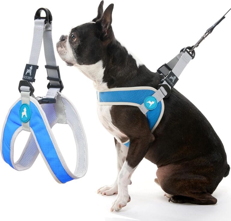 Gooby Simple Step in III Harness - Blue, Medium - Small Dog Harness with Scratch Resistant Outer Vest - Soft Inner Mesh Harness for Small, Medium Dogs
