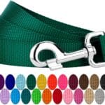 Country Brook Petz - Everyday Nylon Dog Leash - Strong, Durable, Solid Color Leash with Easy to Use Snap - 25+ Colors (1 Inch Wide, 6 Foot, Green)