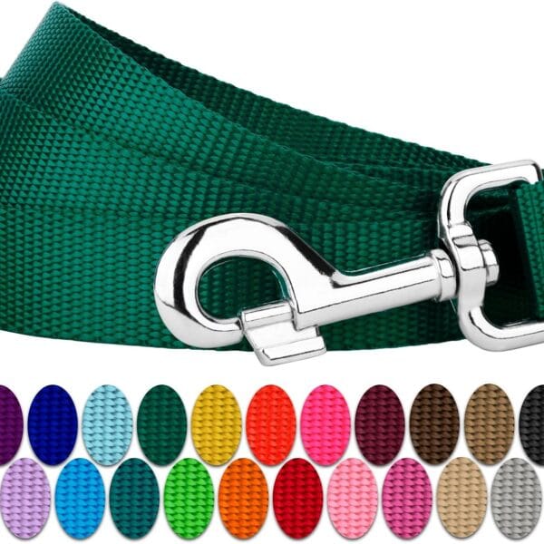 Country Brook Petz - Everyday Nylon Dog Leash - Strong, Durable, Solid Color Leash with Easy to Use Snap - 25+ Colors (1 Inch Wide, 6 Foot, Green)