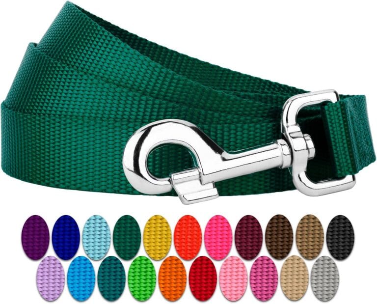 Country Brook Petz - Everyday Nylon Dog Leash - Strong, Durable, Solid Color Leash with Easy to Use Snap - 25+ Colors (1 Inch Wide, 6 Foot, Green)