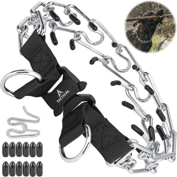 Quick Release Dog Training Collar Adjustable Stainless Steel Collar for Small Medium Large Dog (Black, S Neck Girth 11.2"-14.5")