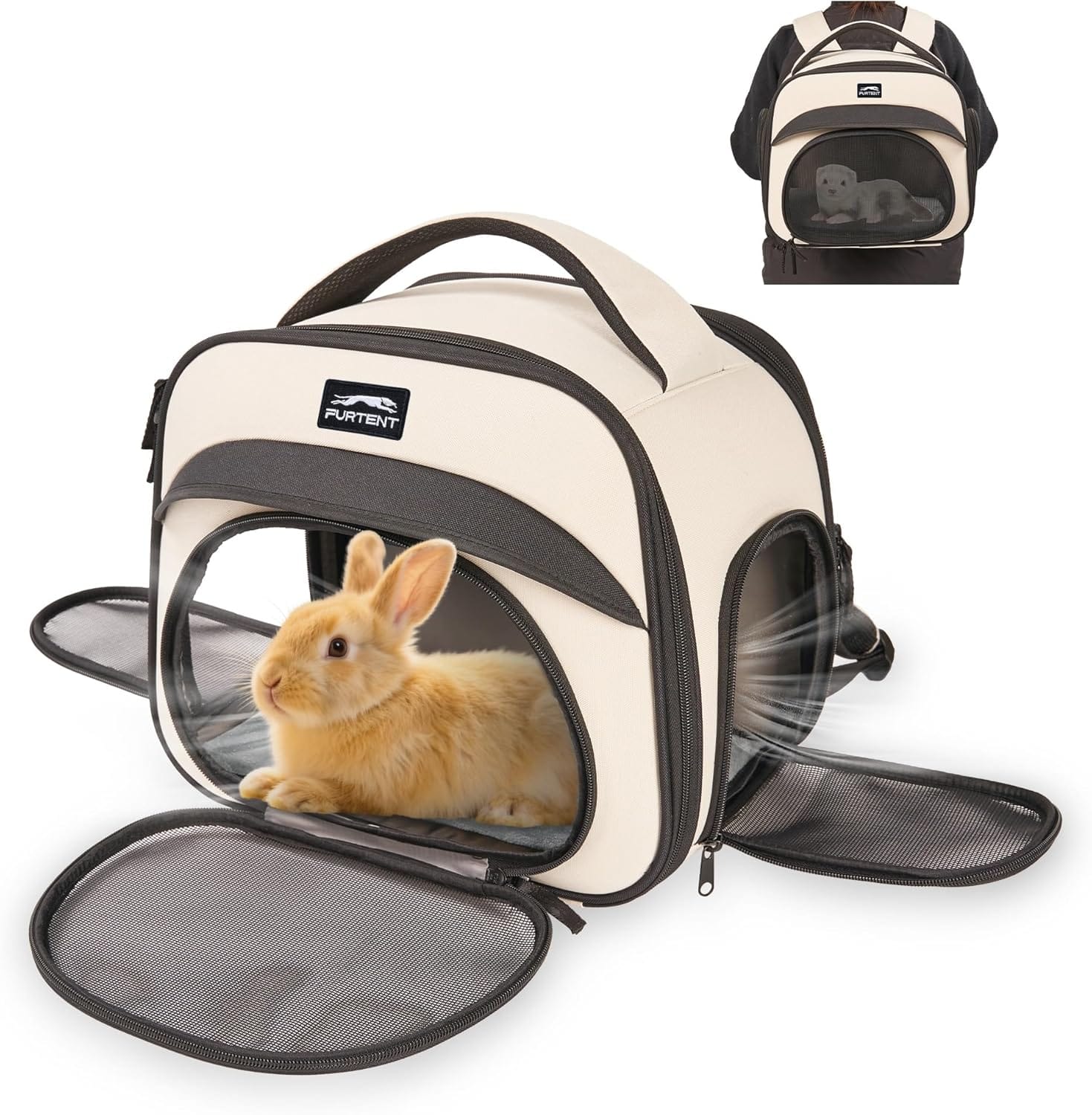 Bunny Backpack, Breathable Collapsible Small Pet Carrier with Safety Leash - for Puppies, Kittens, and Ferret Weighing up to 8 lbs, Designed for Travel, Walking and Outdoor Use Cat Bag, Beige Bunny Backpack, Breathable Collapsible Small Pet Carrier with Safety Leash - for Puppies, Kittens, and Ferret Weighing up to 8 lbs, Designed for Travel, Walking and Outdoor Use Cat Bag, Beige