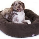 Majestic Pet 52 Inch Suede Calming Dog Bed Washable 52x35x11 (Inch)  Cozy Soft Round Donut Dog Bed with Spine Support for Dogs to Rest their Head - Round Pet Bed X- Large  Chocolate