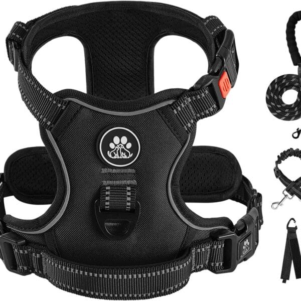 IVY&LANE No Pull Dog Harness for Small Dogs, Dog Vest Harness with Leash, Safety Belt and Storage Strap, Fully Adjustable Harness, 360 Reflective Strip, Soft Handle (Black, S)