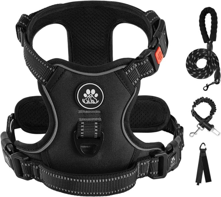 IVY&LANE No Pull Dog Harness for Small Dogs, Dog Vest Harness with Leash, Safety Belt and Storage Strap, Fully Adjustable Harness, 360 Reflective Strip, Soft Handle (Black, S)