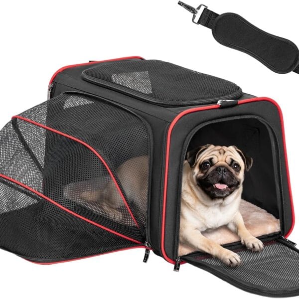 Petsfit Expandable Dog Carrier Large Cat Carrier, Soft-Sided Portable Collapsible Pet Travel Carrier for Kittens, Puppies or Small Animals, 19 x12x12 Inches, Black