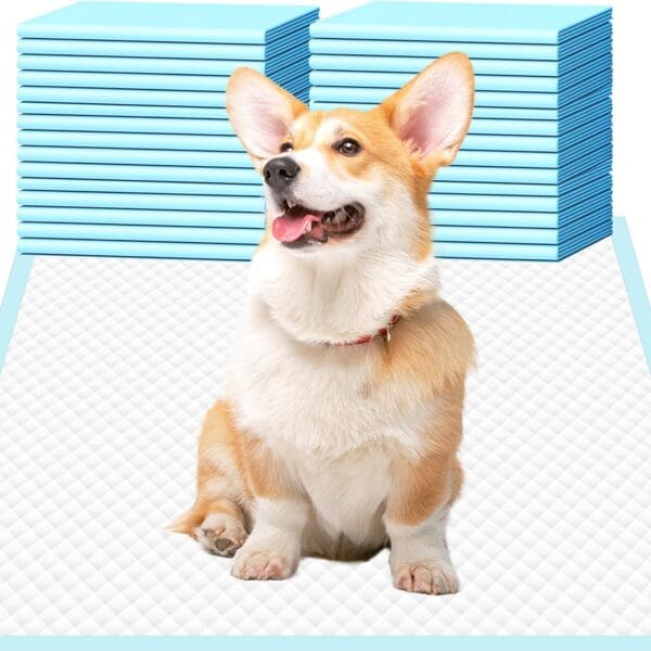 Dog Pee Pads 22"x23", Pee Pads for Dogs, Disposable Puppy Pads Pet Training Pads Super Absorbent Leak-Proof Quick Drying Pee Pads (30 Count)