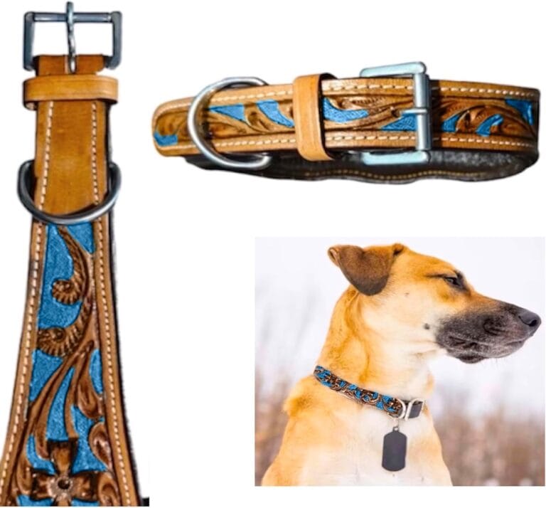 Majestic Ally Leather Dog Collar with Adjustable, Padded Fit for Walking, Hiking, and Running, Designer Western Wear for Puppies, Fancy Colors (Royal Blue - Natural, Large)