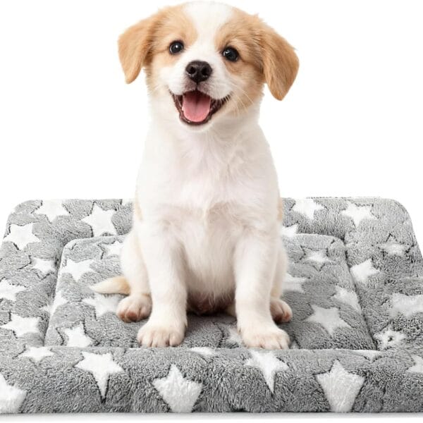 Dog Bed Mat - Comfortable Kennel Pad, Multi-Purpose Crate Bed for Dogs & Cats, Soft Support (Gray, S(24 * 18 * 1.5))