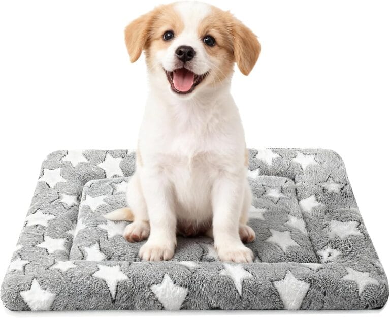 Dog Bed Mat - Comfortable Kennel Pad, Multi-Purpose Crate Bed for Dogs & Cats, Soft Support (Gray, S(24 * 18 * 1.5))