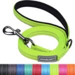 VIVAGLORY Dailyx Dog Leash, Puppy Leash for Training & Walking with Soft Padded Handle, Heavy Duty & Double Layer Nylon for Pet Puppy, 6ft x 1/2in, Bright Yellow