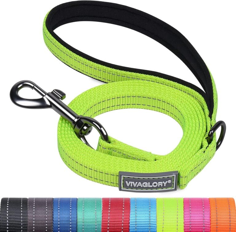 VIVAGLORY Dailyx Dog Leash, Puppy Leash for Training & Walking with Soft Padded Handle, Heavy Duty & Double Layer Nylon for Pet Puppy, 6ft x 1/2in, Bright Yellow