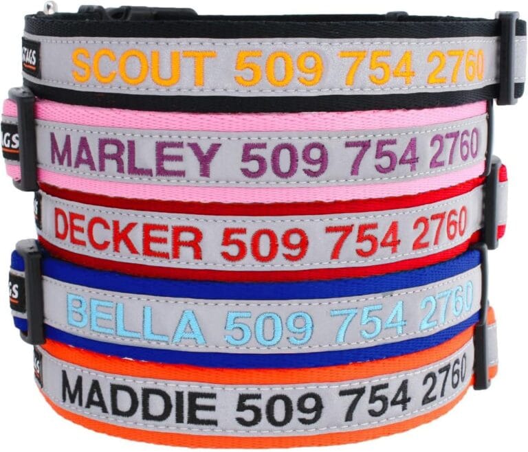 GoTags Reflective Dog Collar Personalized, Custom Embroidered Pet Name and Number, Premium Nylon Colorful for Girl and Boy Dogs, Small Medium and Large Adjustable Sizing