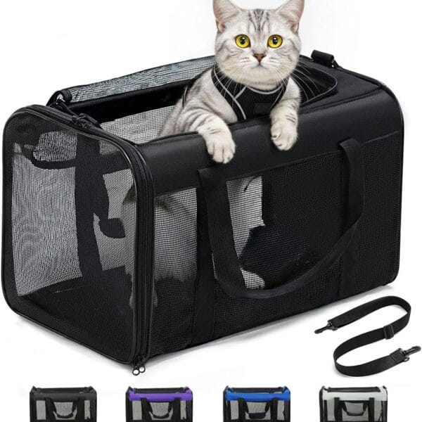 Cat Carrier Bag,Soft-Sided Pet Carriers for Dogs with 4-Sided Mesh,Airline Approved Cat Transport Carrier for Small&Medium Cats Kitten Puppy Up to 15Lb,Collapsible Cat Travel Carrier-M,Black