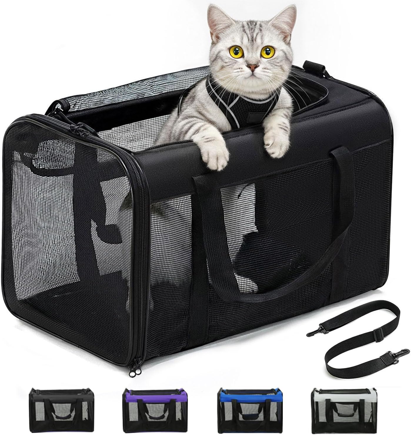 Cat Carrier Bag,Soft-Sided Pet Carriers for Dogs with 4-Sided Mesh,Airline Approved Cat Transport Carrier for Small&Medium Cats Kitten Puppy Up to 15Lb,Collapsible Cat Travel Carrier-M,Black Cat Carrier Bag,Soft-Sided Pet Carriers for Dogs with 4-Sided Mesh,Airline Approved Cat Transport Carrier for Small&Medium Cats Kitten Puppy Up to 15Lb,Collapsible Cat Travel Carrier-M,Black