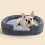 Soft Donut Dog Bed for Small Dogs, 28" Orthopedic Comfort Pet Sofa Couch with Egg Crate Foam, Washable Cover & Non-Slip Bottom, Cozy Cat Couch with Bolstered Sides, Grey (28")