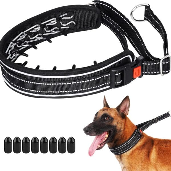 Mayerzon Martingale No Pull Dog Collar for Medium Large Dogs, Patented Hidden Adjustable Reflective Anti Pull Training Walking Collar with Buckle for Pitbull, German Shepherd, Rottweiler (L, Black)