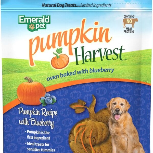 Emerald Pet Pumpkin Harvest Dog Treats - Low-Fat Chewy Natural Dog Treats with Pumpkin for Digestive Health - Meat Free, Poultry Free, Wheat Free - Blueberry, 6 oz
