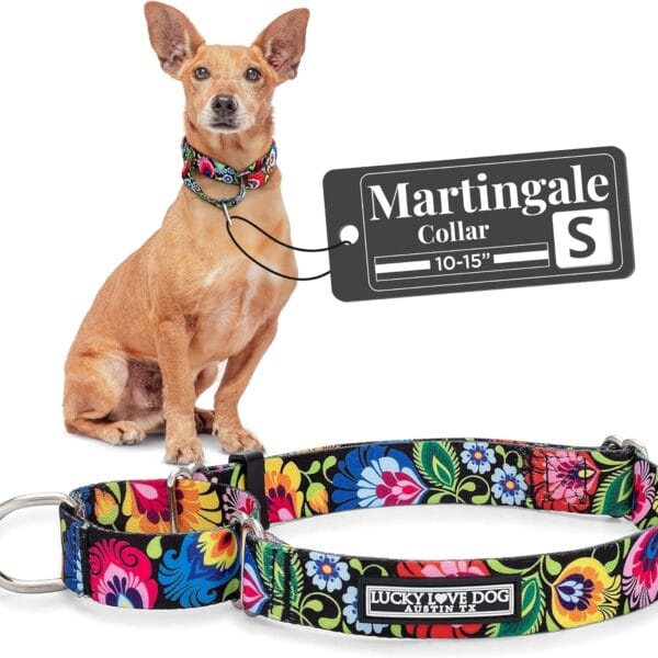 Lucky Love Dog Martingale Dog Collar - Adjustable, No-Slip, Durable, & Soft Webbing Collar for Male and Female Dogs Ideal for Training & Walking - Blackbird, Small