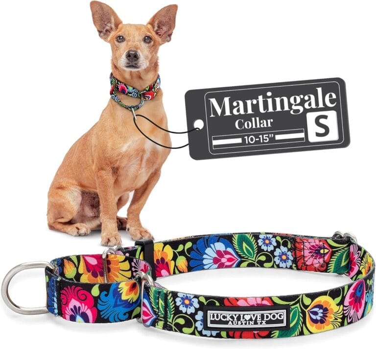 Lucky Love Dog Martingale Dog Collar - Adjustable, No-Slip, Durable, & Soft Webbing Collar for Male and Female Dogs Ideal for Training & Walking - Blackbird, Small