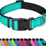 Reflective Dog Collar, Adjustable Soft Neoprene Padded Nylon Pet Collars with Buckle for Medium Dogs, Teal,M