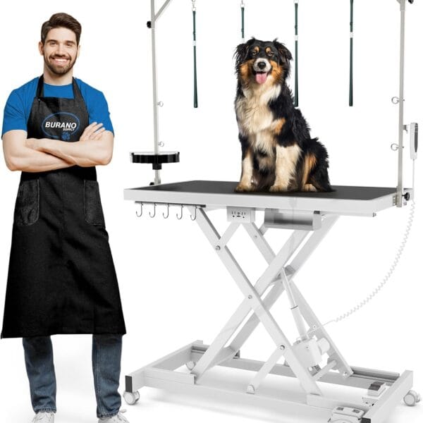 Burano Professional Super Low-Step Electric Dog Grooming Table 49.2", Heavy Duty, Anti-Slip Tabletop, Height Adjustable Dog Table with Lockable Casters, Stainless Grooming Overhead Arm