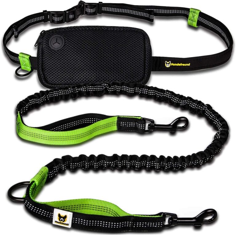 Hundefreund Hands-Free Leash for Small Dogs Under 30 lbs  Lightweight Waist Leash with Reflective Bungee, Pouch & Dual Handles  Ideal for Running, Walking & Hiking