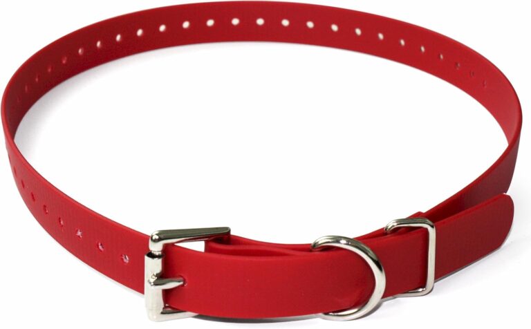 Educator Biothane Dog Collar, Waterproof, Odorproof, Metal Buckle and D Ring, Adjustable for Custom Fit, Cool and Comfortable, for Small, Medium, or Large Dogs, 3/4-Inch, Red