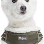 Blueberry Pet Soft & Comfy Multi-Colored Stripe Fleece Padded Chest Dog Harness, Chest Girth 16.5" - 21", Olive Green, Small, Adjustable No Pull Training Harness for Dogs