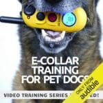 E-Collar Training for Pet Dogs: The Only Resource Youll Need to Train Your Dog with the Aid of an Electric Training Collar (Dog Training for Pet Dogs, Book 2)