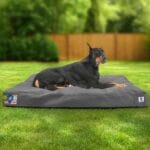 Sytopia 42-Inch Canvas Indestructible Outdoor Dog Bed, Washable & Waterproof with Chew-Resistant Removable Cover, Ideal for Extra Large Dogs for Indoor, Outdoor, Crate, or Patio Use (Dark Grey)