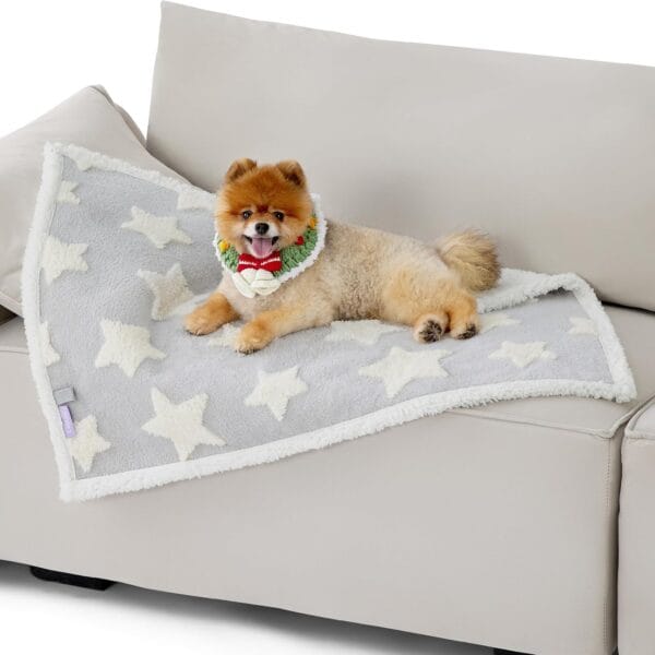 Lesure Waterproof Dog Blanket for Small Dogs - Washable Double Sided Dog Blankets with Warm Jacquard Shag and Soft Sherpa Fleece, Pet Cat Blanket for Couch Protection, 3D Textured Star, Grey