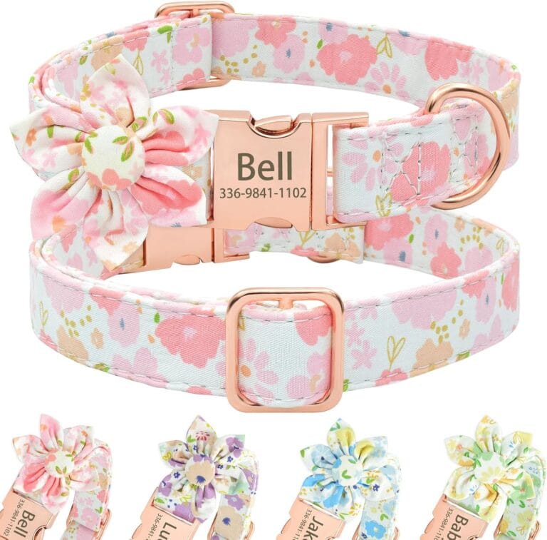 Personalized Cute Flower Girl Dog Collar with Name,Custom Floral Dog Collar with Engraved Gold Buckle for Female Dogs, Small, Medium, Large Dogs