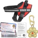 Service Dog Vest, ID Tag + 50 ADA Information Cards, Service Dog Harness in Sizes X Small to XX Large, Metal Dog Tag has Ruggedized Clip, 2-Sided Service Animal Cards,ESA Accessory Set Small