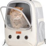 Lollimeow Pet Carrier Backpack, Bubble Backpack Carrier, Cats and Puppies,Airline-Approved, Designed for Travel, Hiking, Walking & Outdoor Use (Beige)
