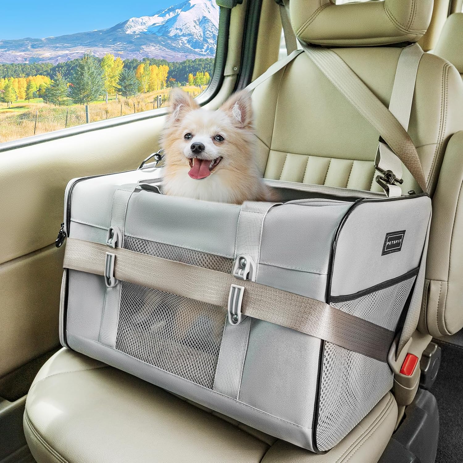 Petsfit Travel Pet Carrier for Large Cats (up to 20 lbs), Soft-Sided Dog Car Travel Carrier with Patented Buckle and Soft Padding, Ideal for Car Road Trips,19X12X12 Inch,Grey Petsfit Travel Pet Carrier for Large Cats (up to 20 lbs), Soft-Sided Dog Car Travel Carrier with Patented Buckle and Soft Padding, Ideal for Car Road Trips,19X12X12 Inch,Grey