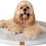 Round Donut Dog Bed  Luxury Orthopedic Dog Beds with Memory Foam  Calming Bolster Pet Bed, Water-Resistant, Washable Plush Cover, YKK Zipper  Small, Medium, Large Dogs & Cats (31 Inches)