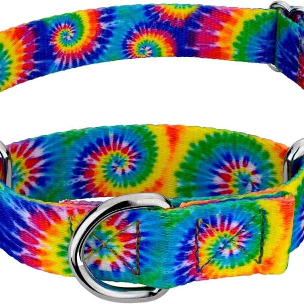 Country Brook Petz - Classic Tie Dye Martingale Dog Collar - Groovy Collection Featuring Far Out Designs (1 Inch, Large)