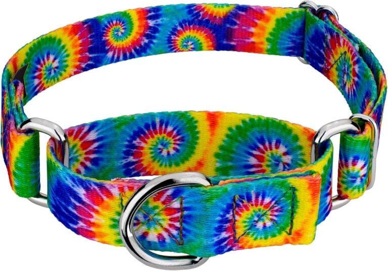 Country Brook Petz - Classic Tie Dye Martingale Dog Collar - Groovy Collection Featuring Far Out Designs (1 Inch, Large)