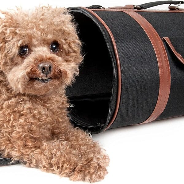 Pet Life Airline Approved Cynlider Fashion Pet Carrier - Airline Approved Travel Dog Carrier for Small Dogs and Cats