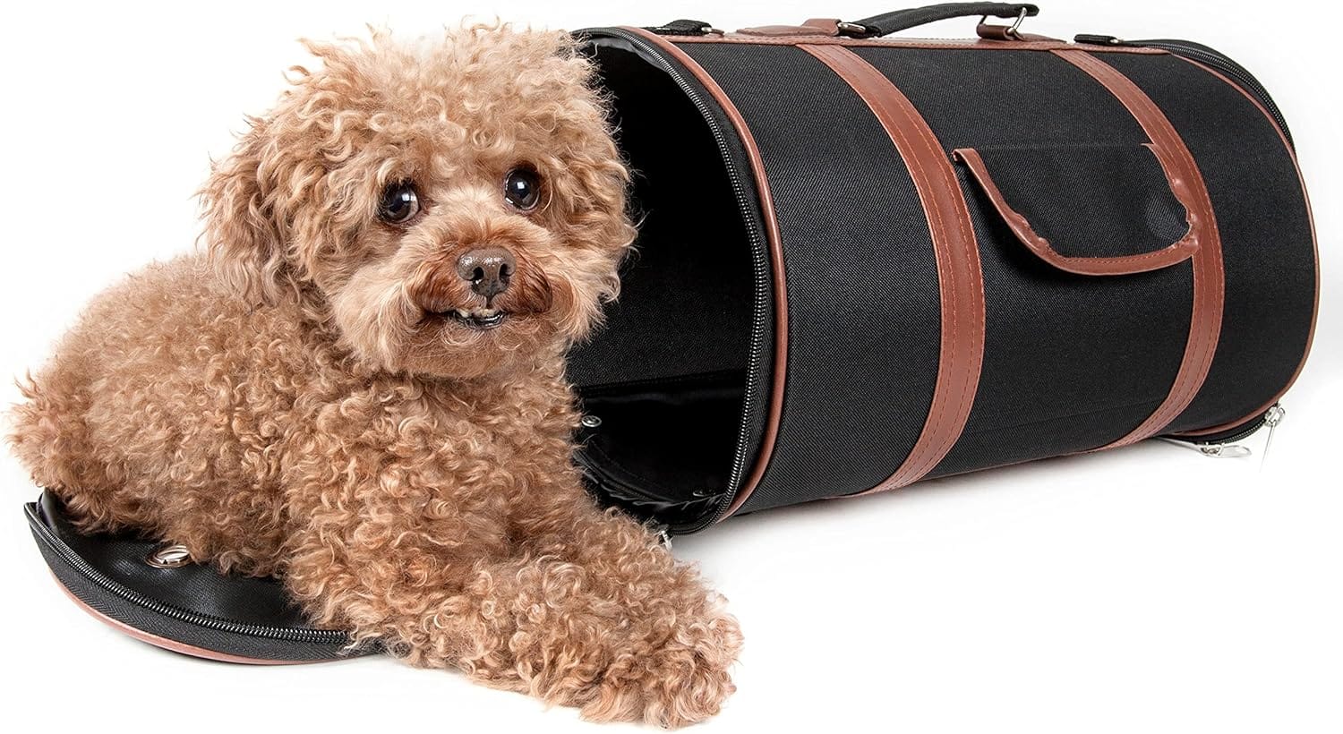 Pet Life Airline Approved Cynlider Fashion Pet Carrier - Airline Approved Travel Dog Carrier for Small Dogs and Cats Pet Life Airline Approved Cynlider Fashion Pet Carrier - Airline Approved Travel Dog Carrier for Small Dogs and Cats
